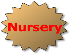 Nursery